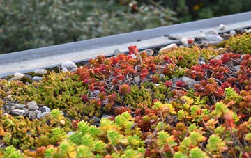 the cost of Fullwell Cross green roof installation