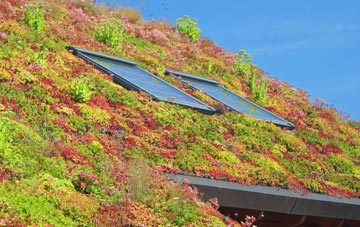 Fullwell Cross living roof systems