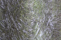 Fullwell Cross fibreglass roof work